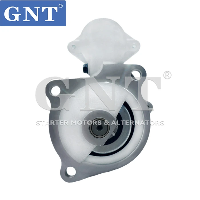 GNT019379